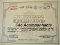 /album/documentos2/dsc09974-jpg/